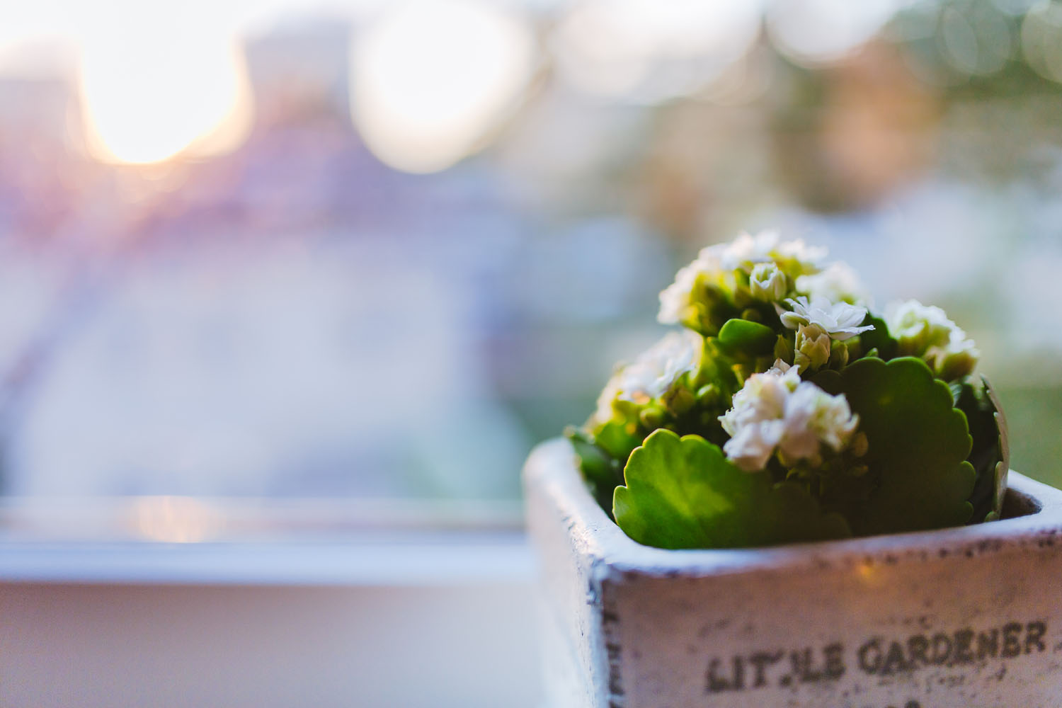 Aumentando engajamento com senso de propósito